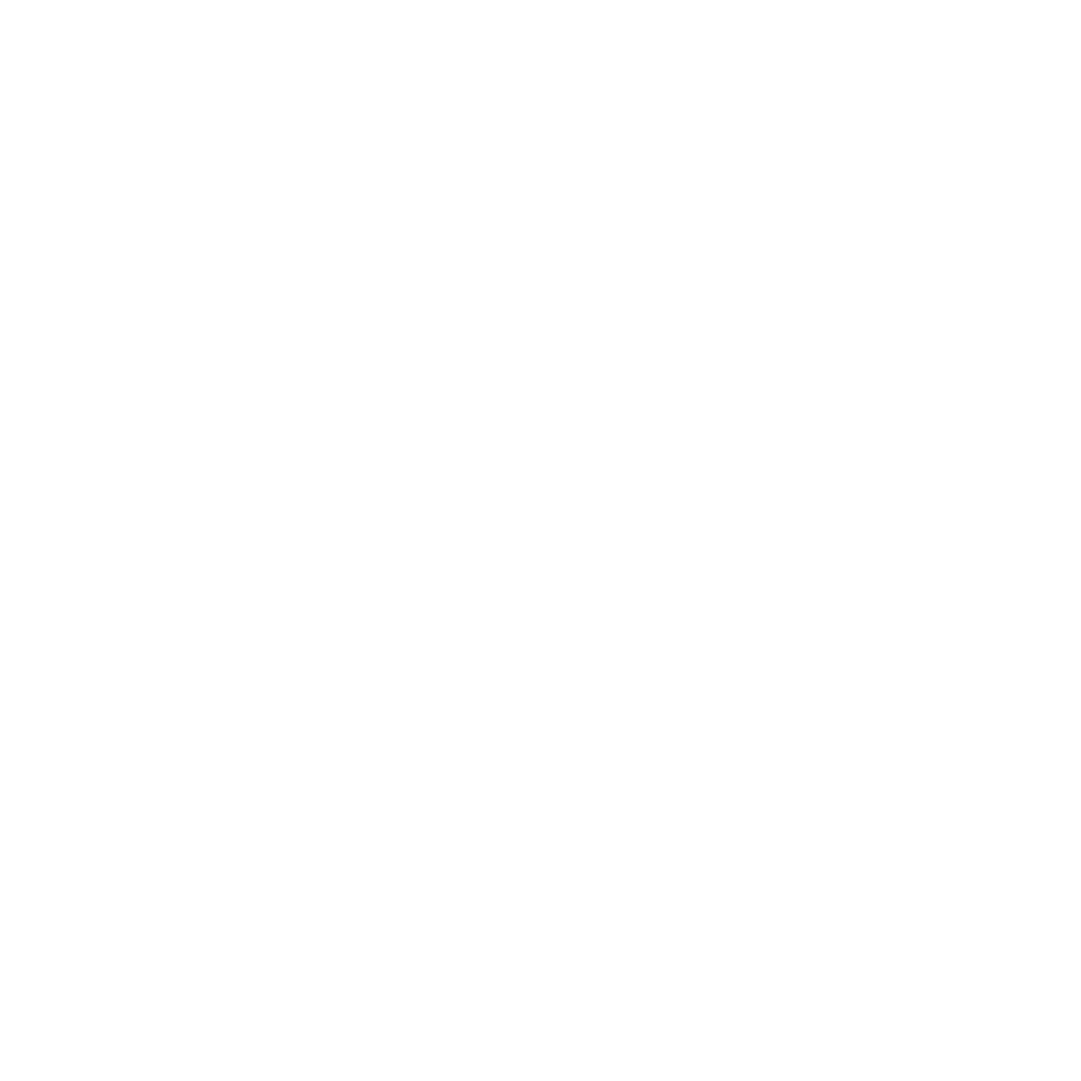 Icono Seguridad Patrimonial Blanco